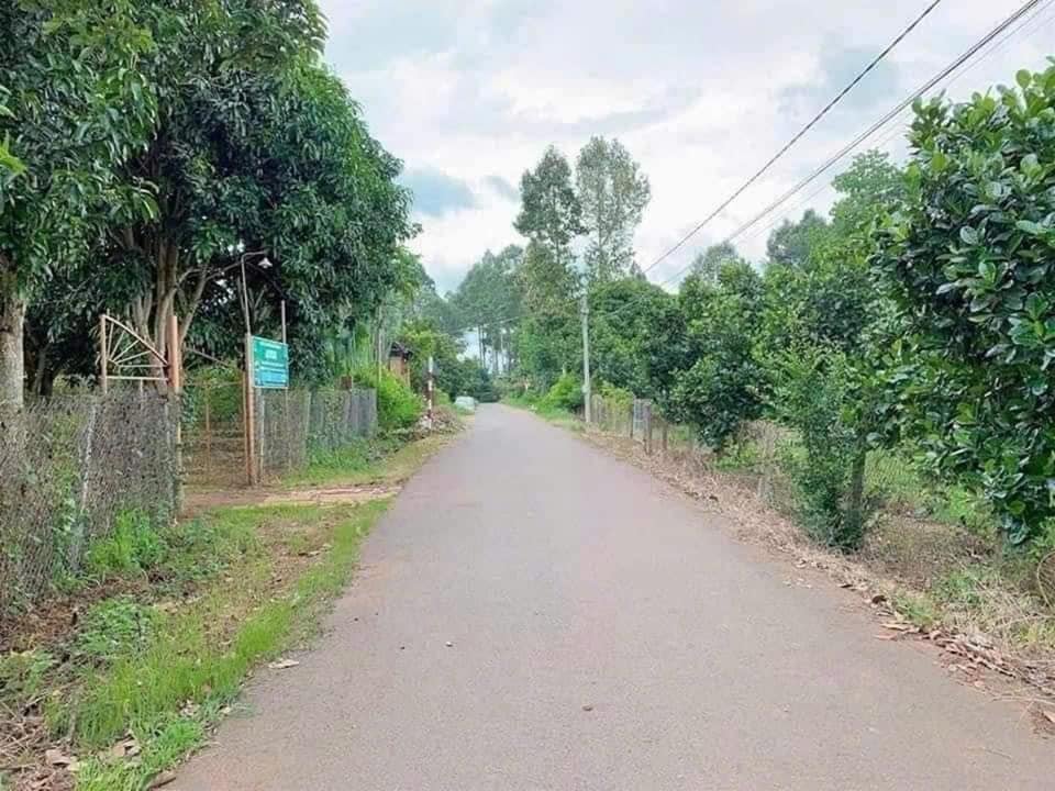 Cần bán gấp mảnh 915m2 có suối, 100m thổ cư, đường nhựa, sổ hồng
