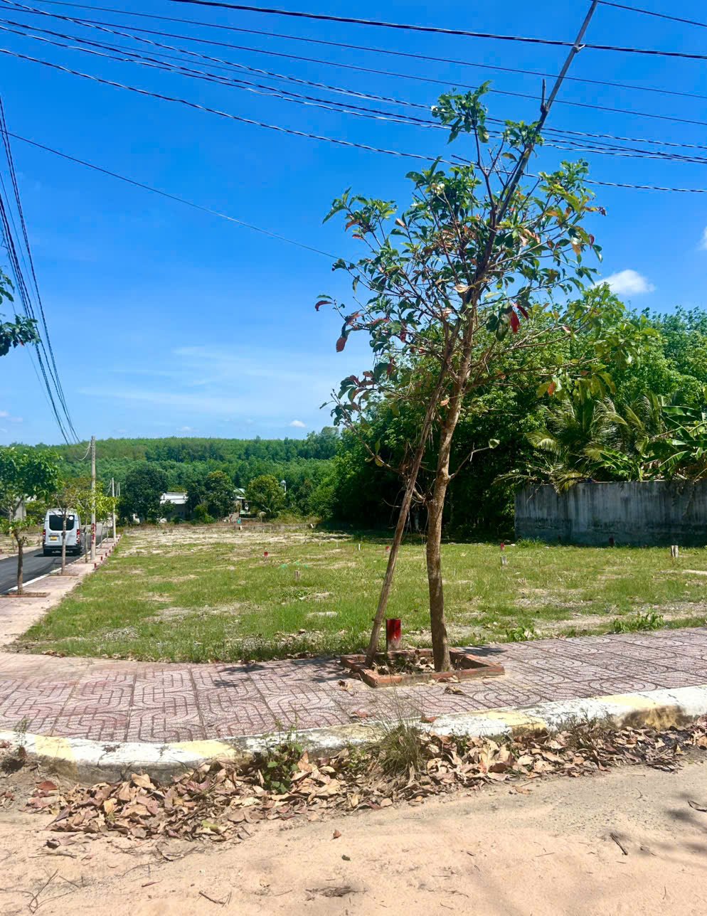 Bán lô đất 90m2 mặt tiền đường Phước Bình, huyện Long Thành, Đồng Nai