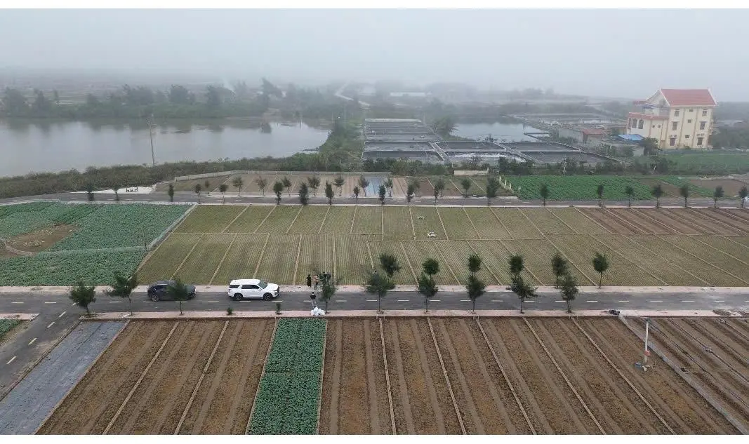 Bán đất 100m2 đường 56, Giao Phong, Giao Thủy, Nam Định, giá chỉ 900,000,000 VNĐ