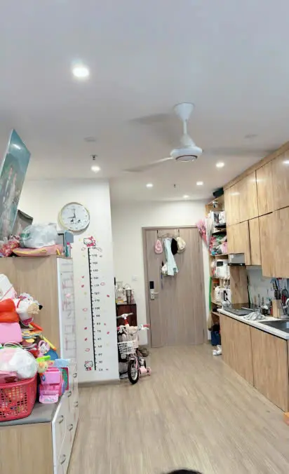 Cho thuê căn hộ chung cư 55m2 Vinhomes Smart City Tây Mỗ, Nam Từ Liêm, Hà Nội tiện ích đầy đủ