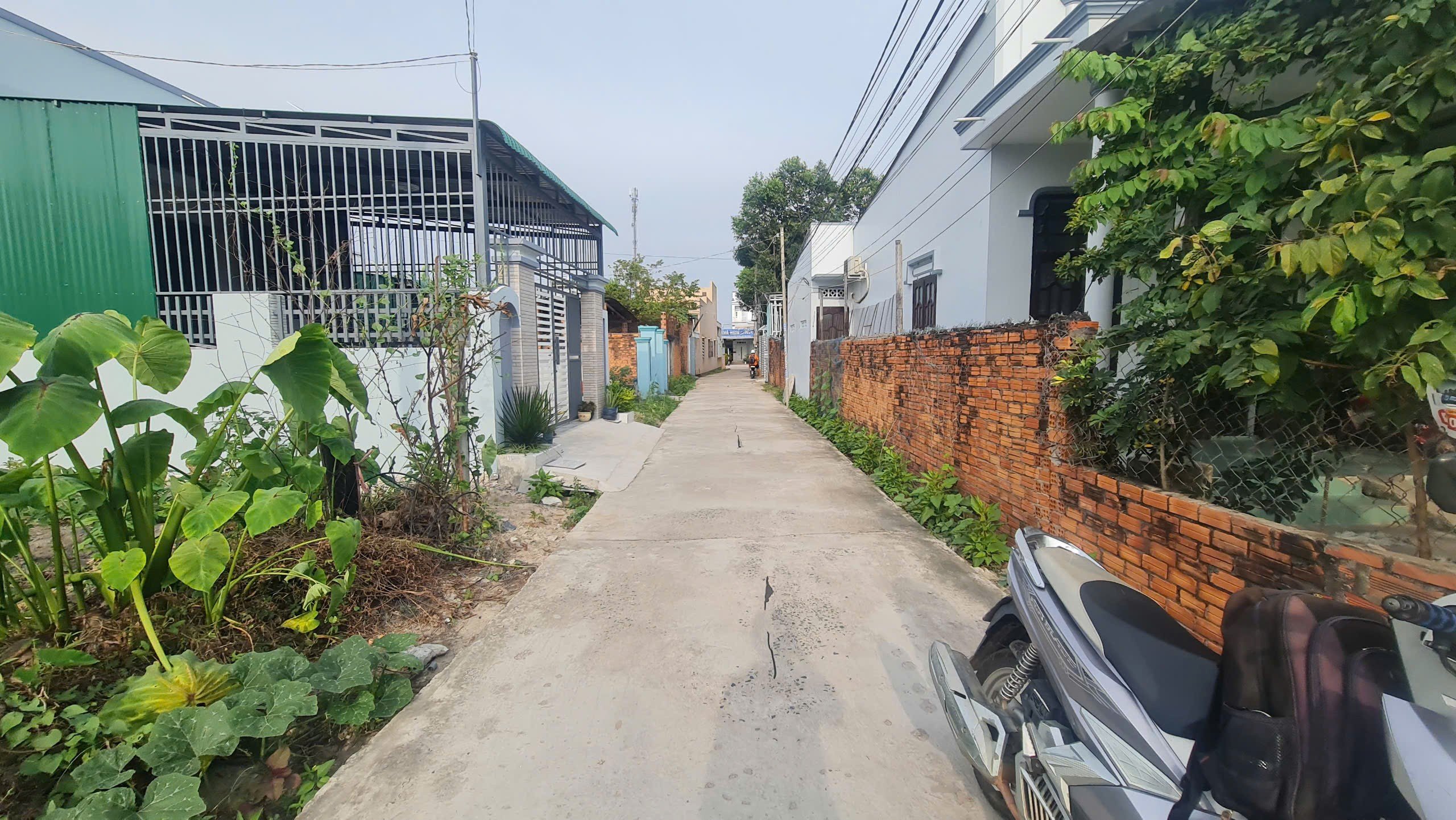Bán đất thổ cư 5m x 22m hẻm Ngô Quyền, Tân An, LaGi 1,15 tỷ thuận tiện đầu tư