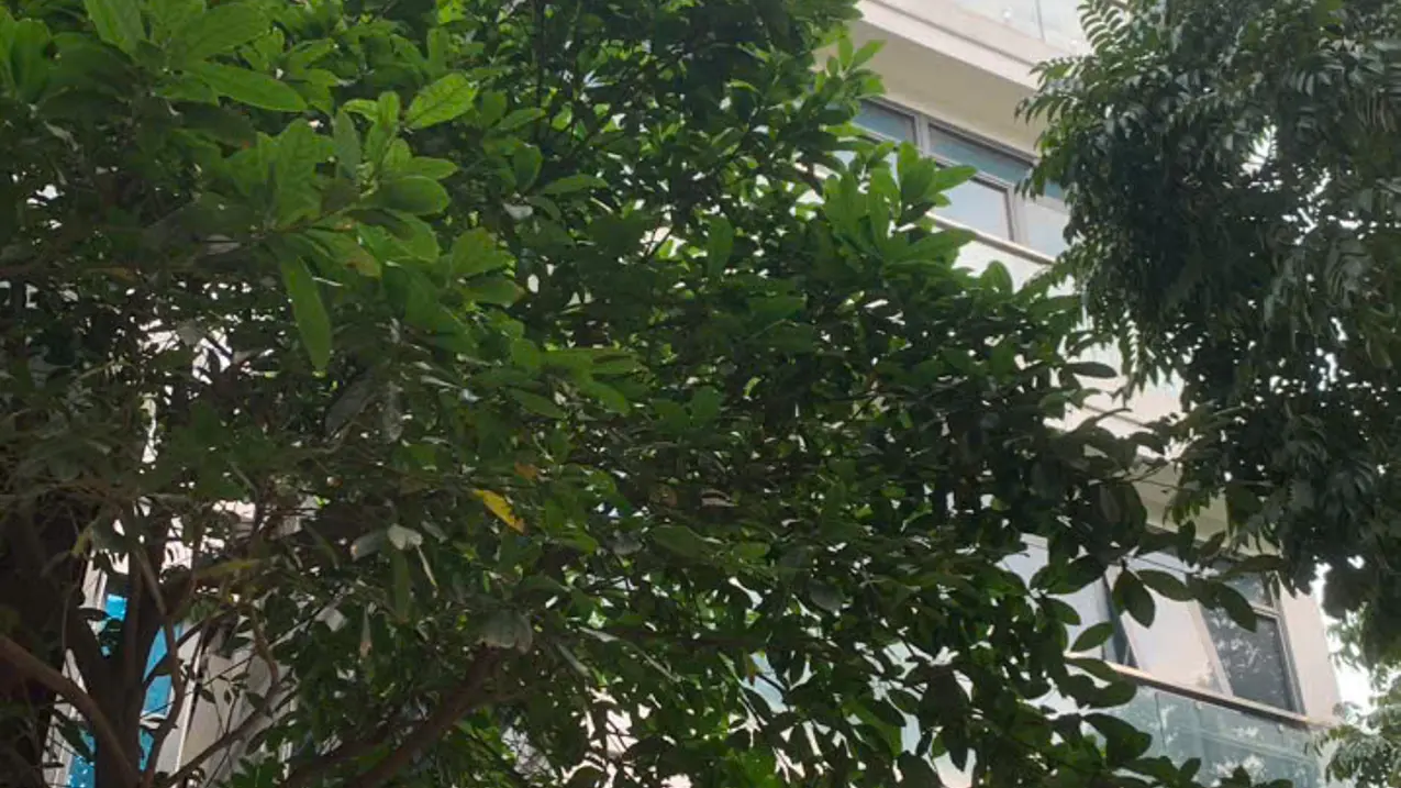 Bán Nhà Riêng tại Nguyễn Quý Đức, 7 tỷ, 33m2, view đẹp, uy tín