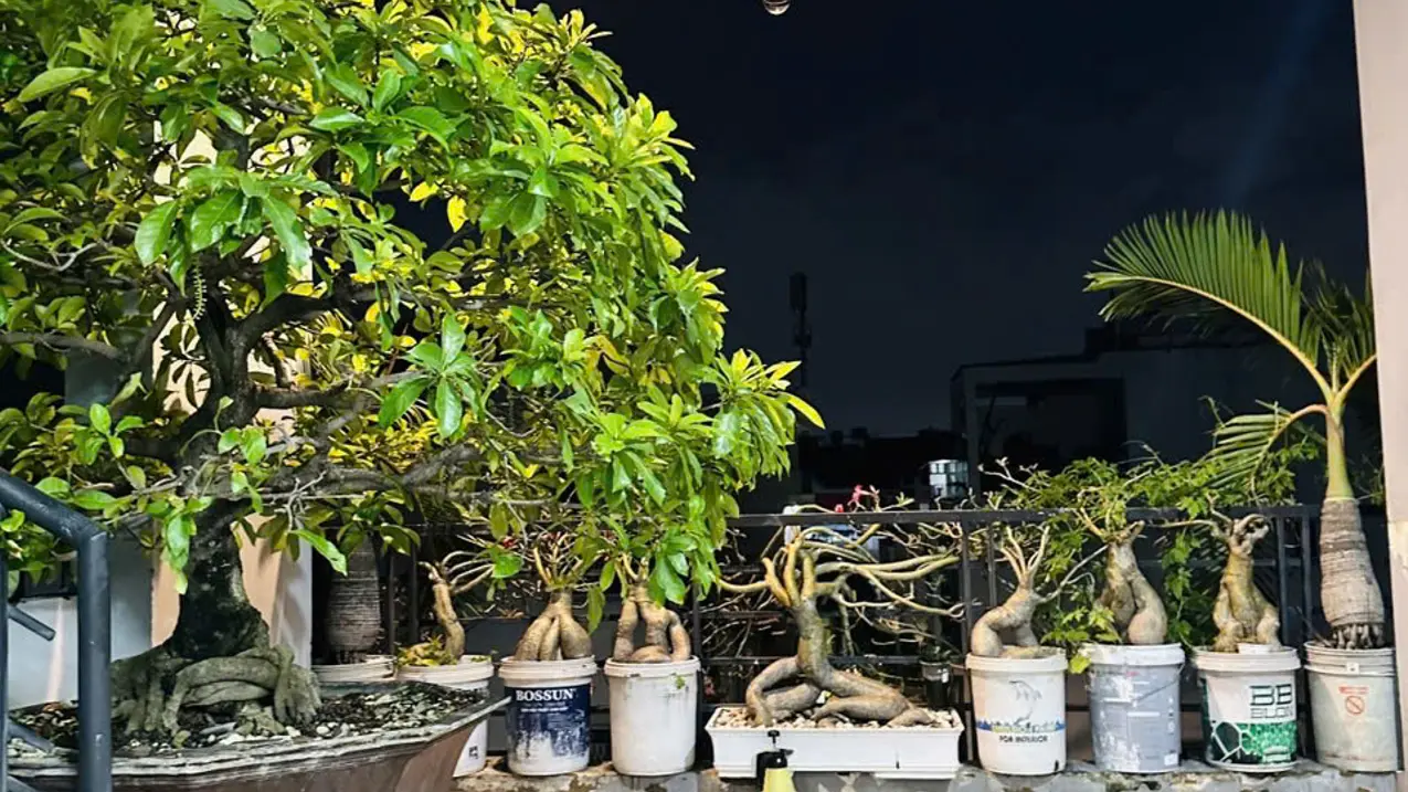 Chính chủ bán nhà đường Đất Thánh, P6, Tân Bình, diện tích 79m², giá 3 tỷ 040, sổ hồng riêng