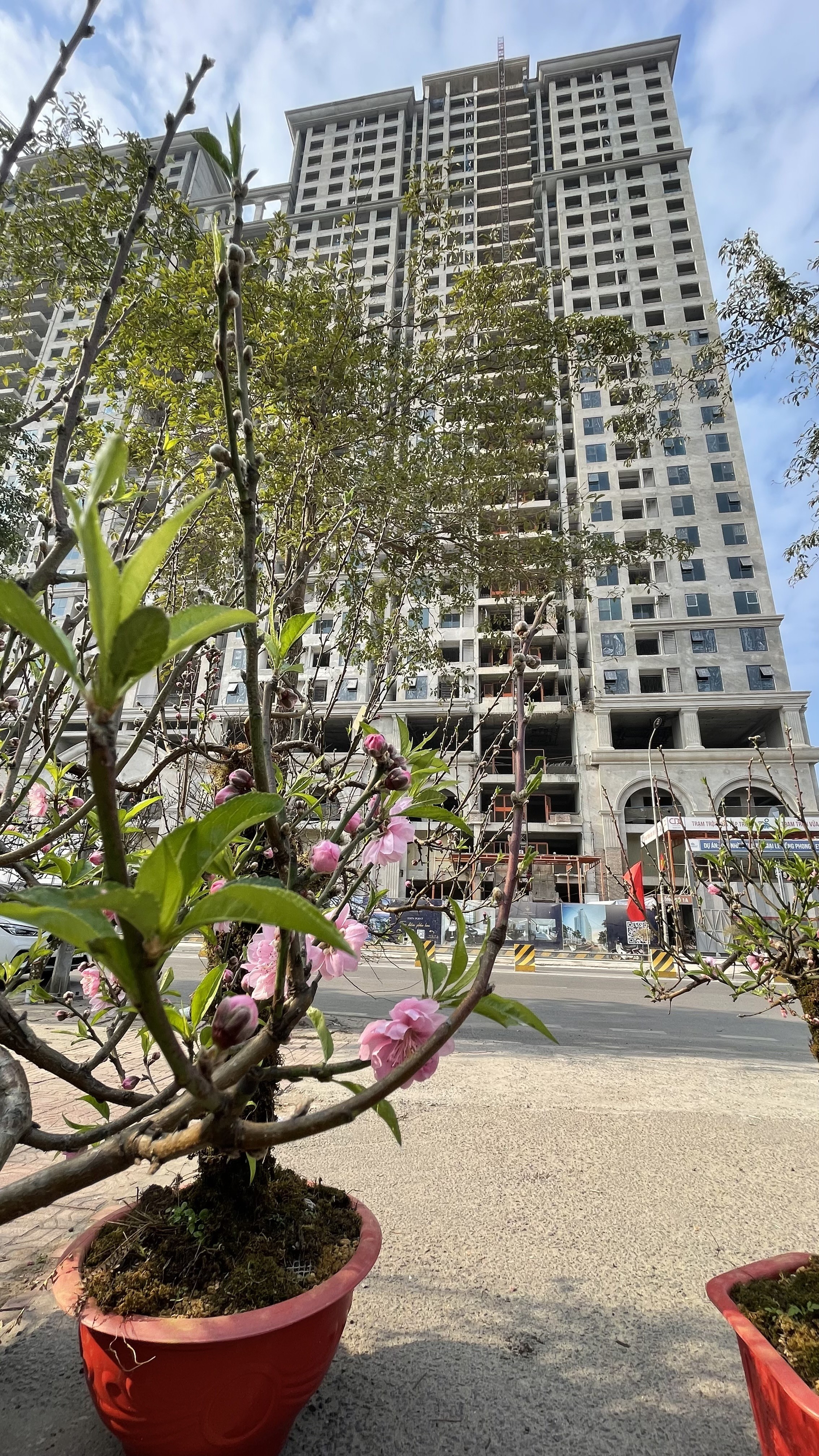 Căn hộ Duplex 250m² Eden Garden, chiết khấu đến 800 triệu, sở hữu lâu dài