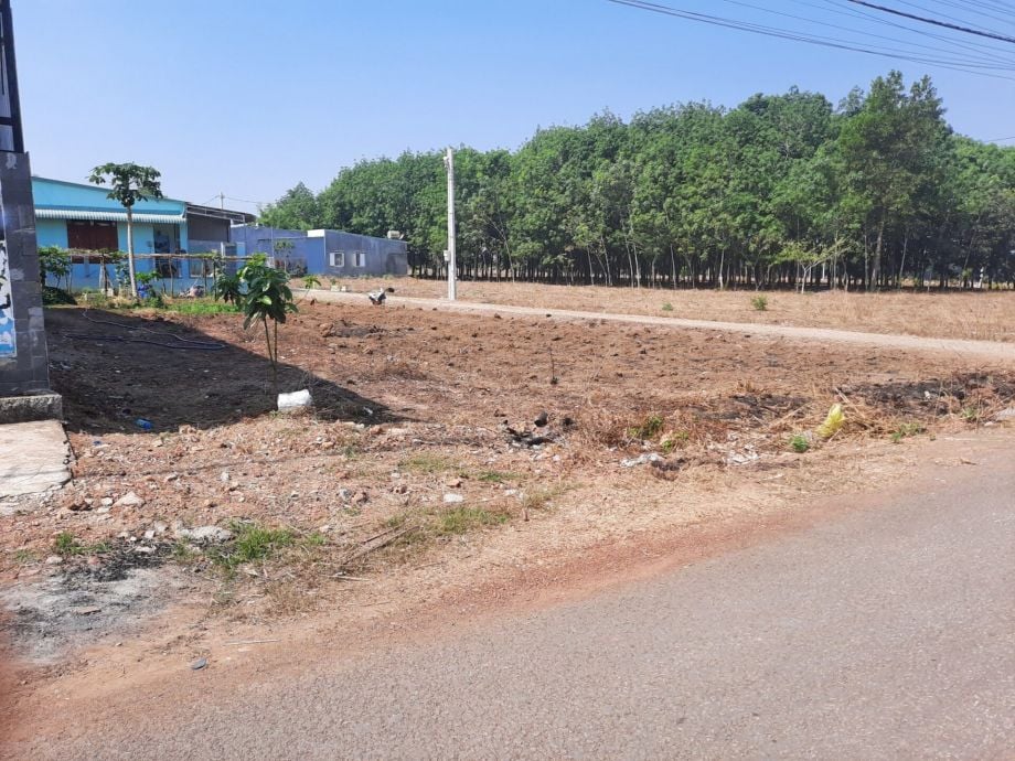 Chính chủ cần bán gấp đất đẹp giá rẻ, 2000m2 , chỉ 260 triệu