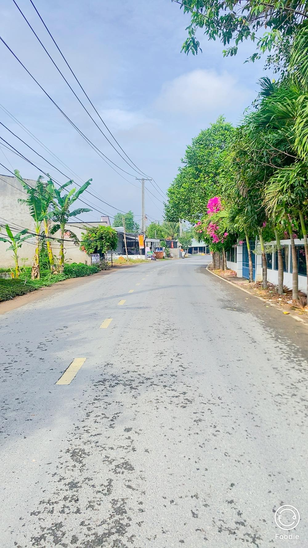 Bán đất mặt tiền đường Chí Sinh, Quận Cái Răng, Cần Thơ với diện tích 2.865m2