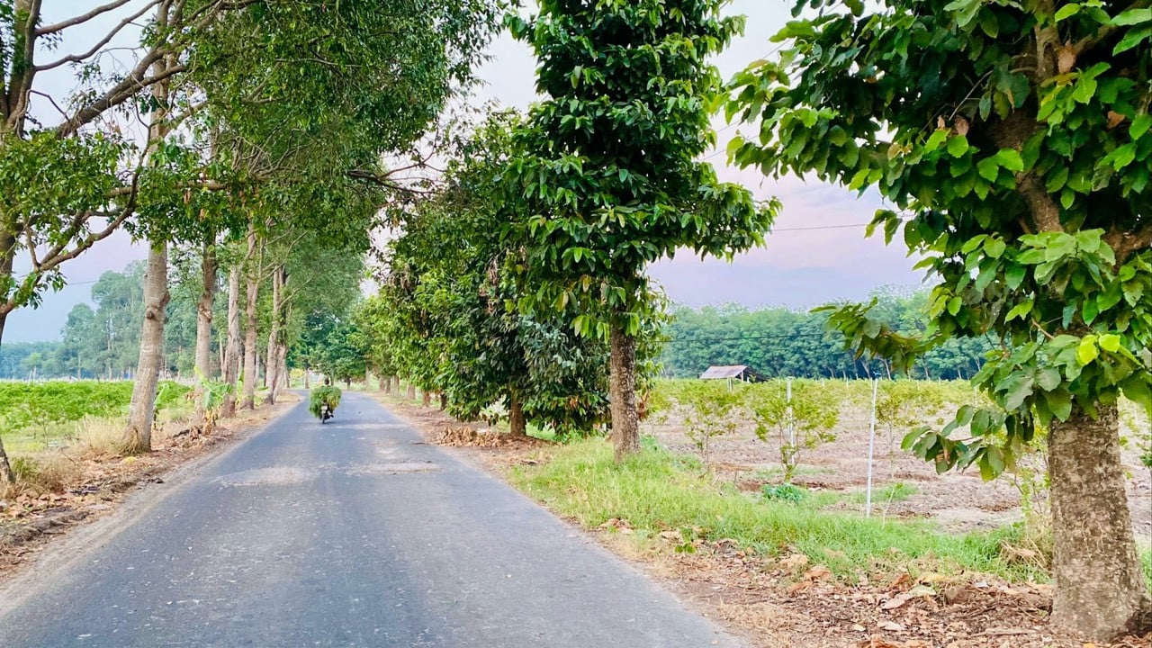 Bán đất mặt tiền ấp Tân Lợi, Tân Hưng, Tân Châu, Tây Ninh, ngang 90m, gần chợ Thạnh Tân, giá chỉ 3.8 tỷ