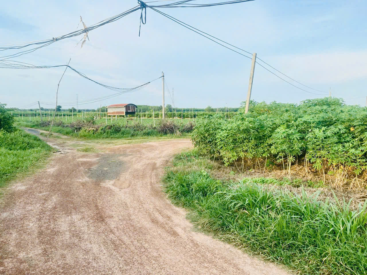 Bán đất 2 mặt tiền, 1.000m² có thổ cư tại xã Suối Đá, Dương Minh Châu, Tây Ninh, giá chỉ 840 triệu
