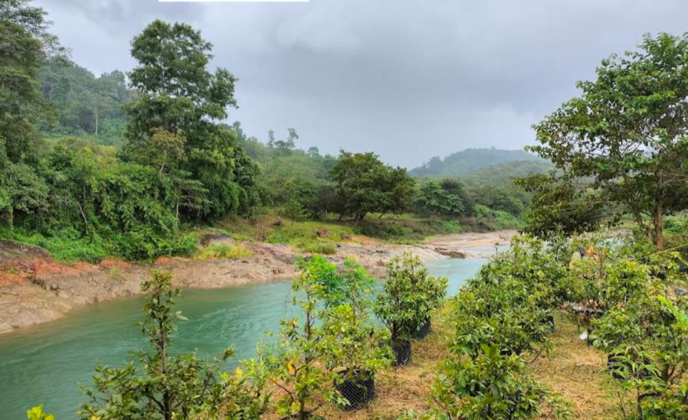 thuviennhadat.vn