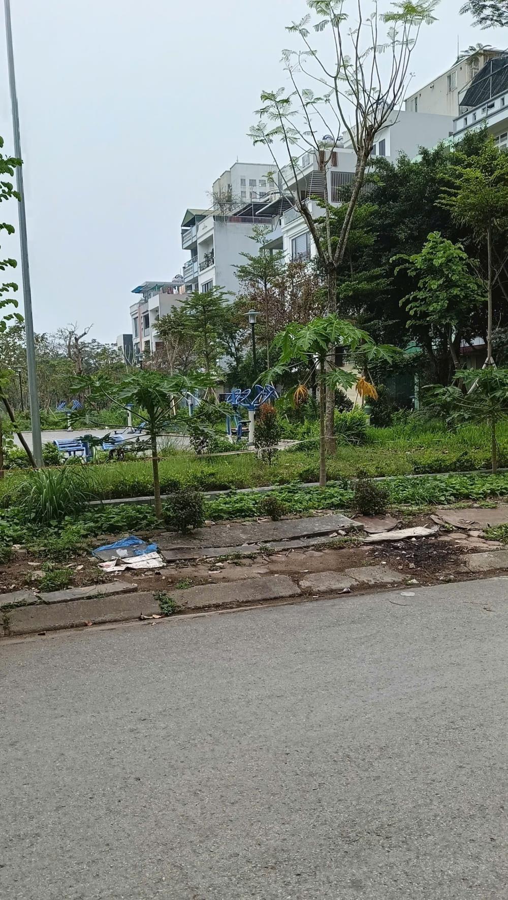 Bán đất phân lô tại Mậu Lương - Kiến Hưng với 50m2 giá 10,3 tỷ, đất vuông đẹp