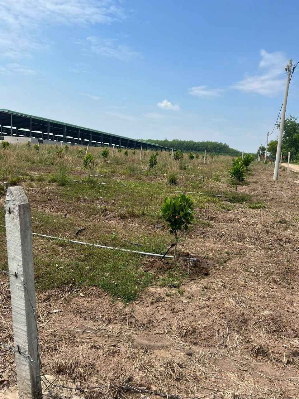 Bán thổ cư diện tích150m2,nằm trong khu dân cư, bán kính 1km đầy đủ tiện ích