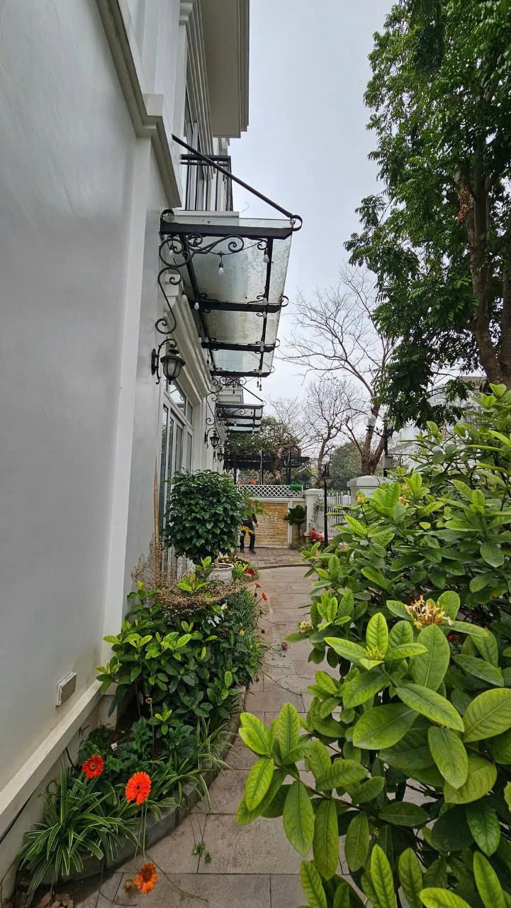 Bán biệt thự Nguyễn Như Uyên, khu đô thị Nam Trung Yên, diện tích 205m2, cả khu có 1 nhà bán, giá bán 80 tỷ