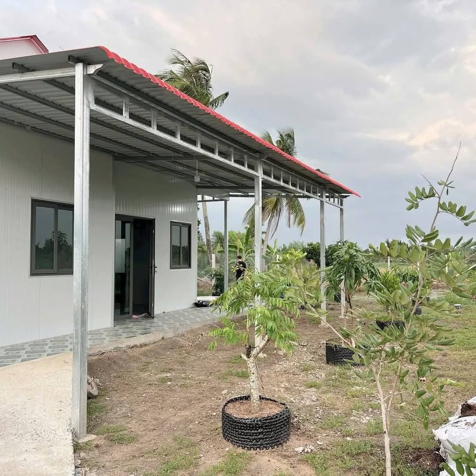 Bán gấp nhà vườn mặt tiền Tân Phú Trung, Củ Chi, diện tích 476m2, sổ hồng riêng