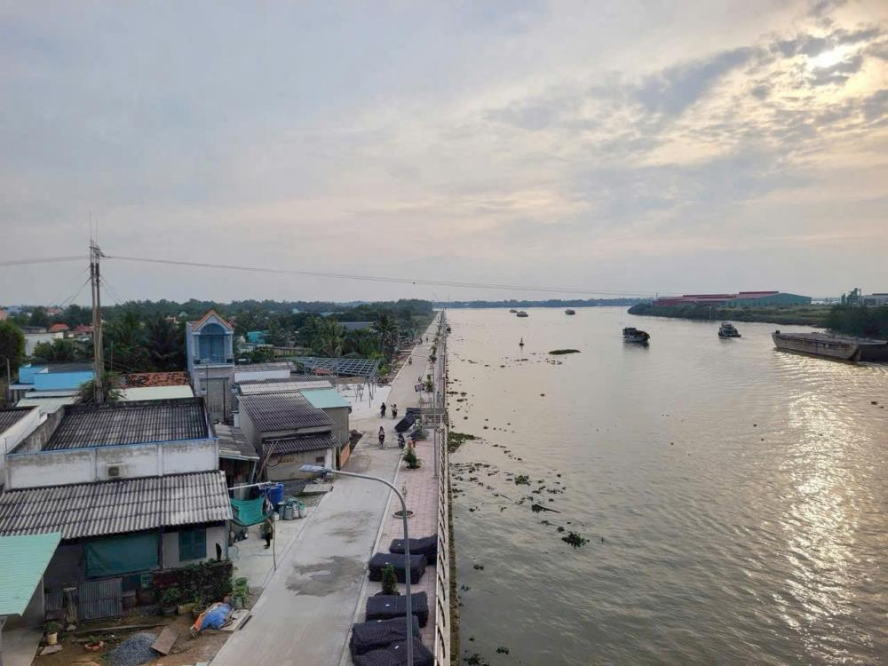 Bán đất lúa 1000m2 xã Long Hựu Tây, Huyện Cần Đước, giá chỉ 350 triệu