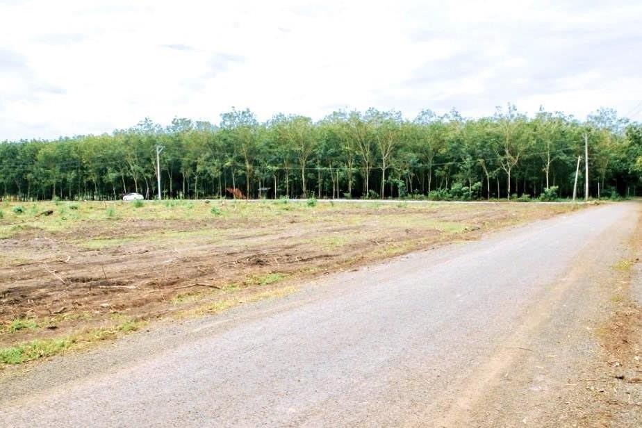 Bán mảnh vườn 2.675m2 hiện hữu ngay ngã tư  chợ Minh Lập Chơn Thành chỉ 480tr