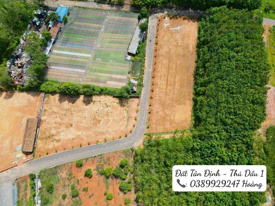 Đất đầu tư vị trí đẹp Nhất Tân Định, nằm giữa các thành phố lớn – Cơ hội sinh lời cao