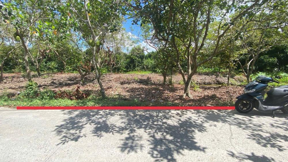 Bán 3 nền đất, mỗi nền 125m2, lộ ô tô tại Phong Điền, Cần Thơ