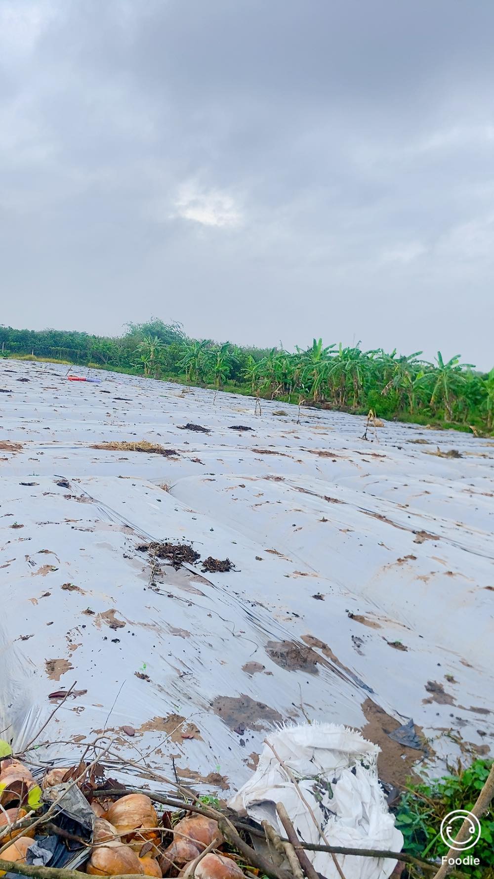 Bán đất Trương Vĩnh Nguyên, Cần Thơ, mặt tiền, nở hậu, 1200 m2, giá chỉ 8.6 tỷ