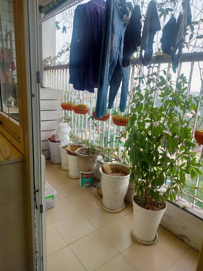Bán căn hộ chung cư OCT5A Resco, Phạm Văn Đồng, Bắc Từ Liêm, 3PN, chỉ 6,9 tỷ