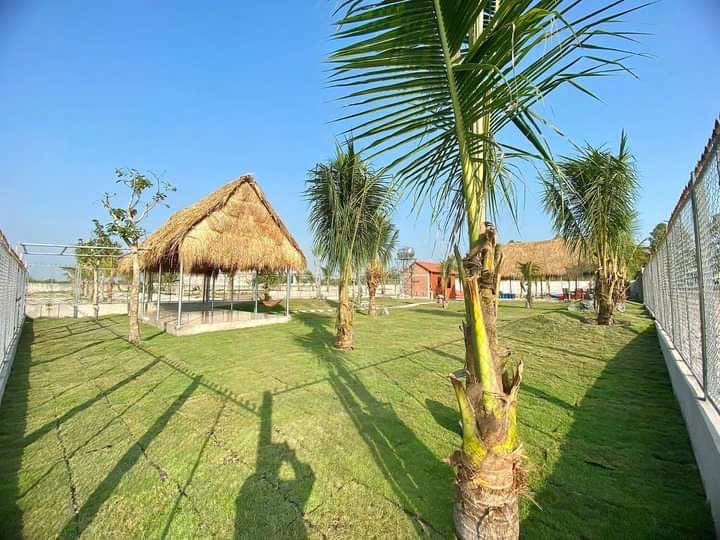 Bán nhanh miếng đất view hồ Dầu Tiếng, ngay DT744 chỉ 2 tỷ 350 với 1267m2