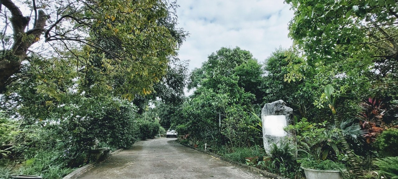 Nợ tiền ngân hàng, chủ cần đi ngay căn biệt thự 3000m2 ở Phú Thọ
