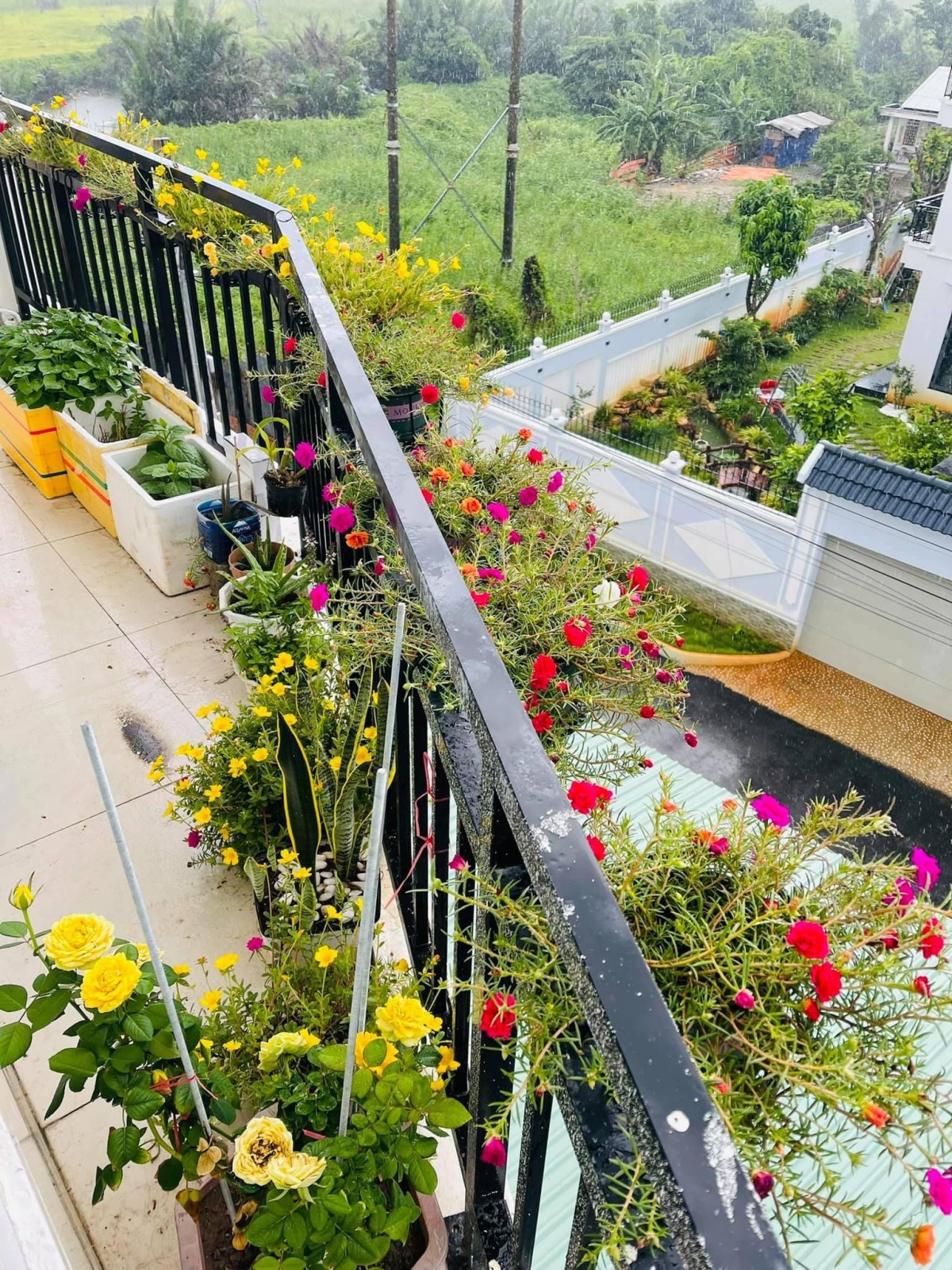 Cho thuê phòng trọ 35m2 có gác lửng cao 1m7 cách chợ Thủ Đức 1,5km