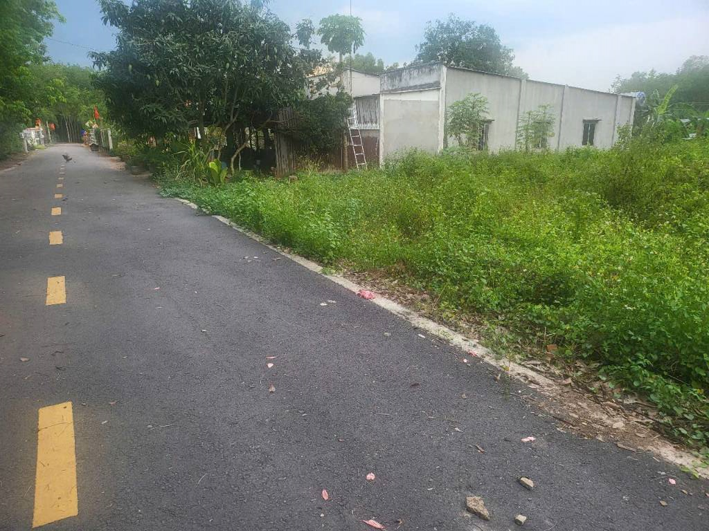 Đất chính chủ cần chuyển nhượng 228m² có 100m² thổ cư đường số 3, Xã Phước Hòa, Huyện Phú Giáo, Bình Dương