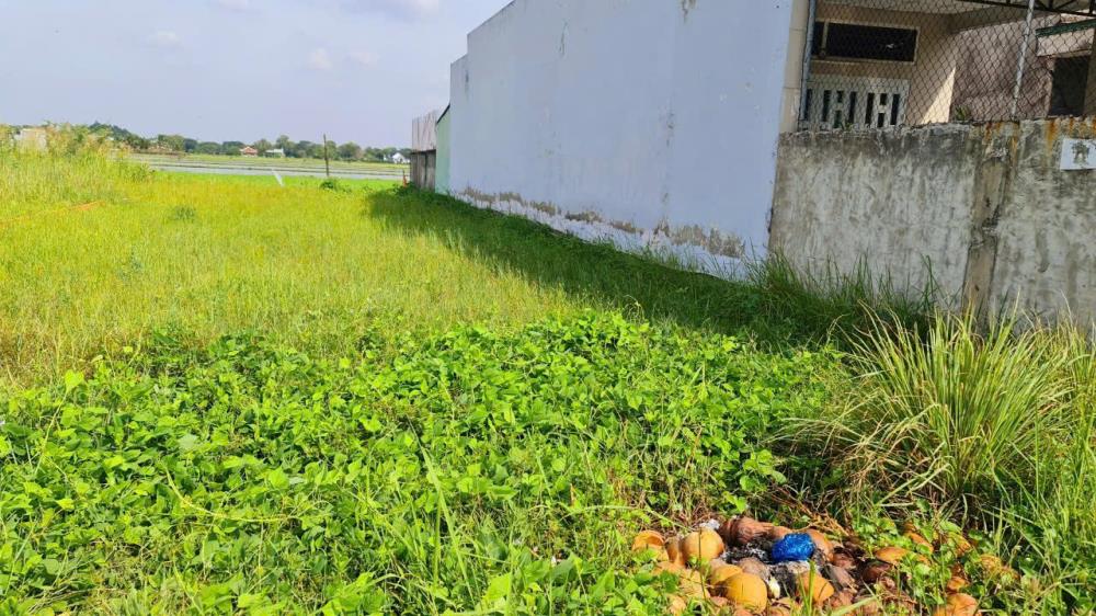 Bán đất đường nhựa chùa tháp , xã đức hòa thượng, đức hòa 10x37m - giá 4 tỷ 500tr