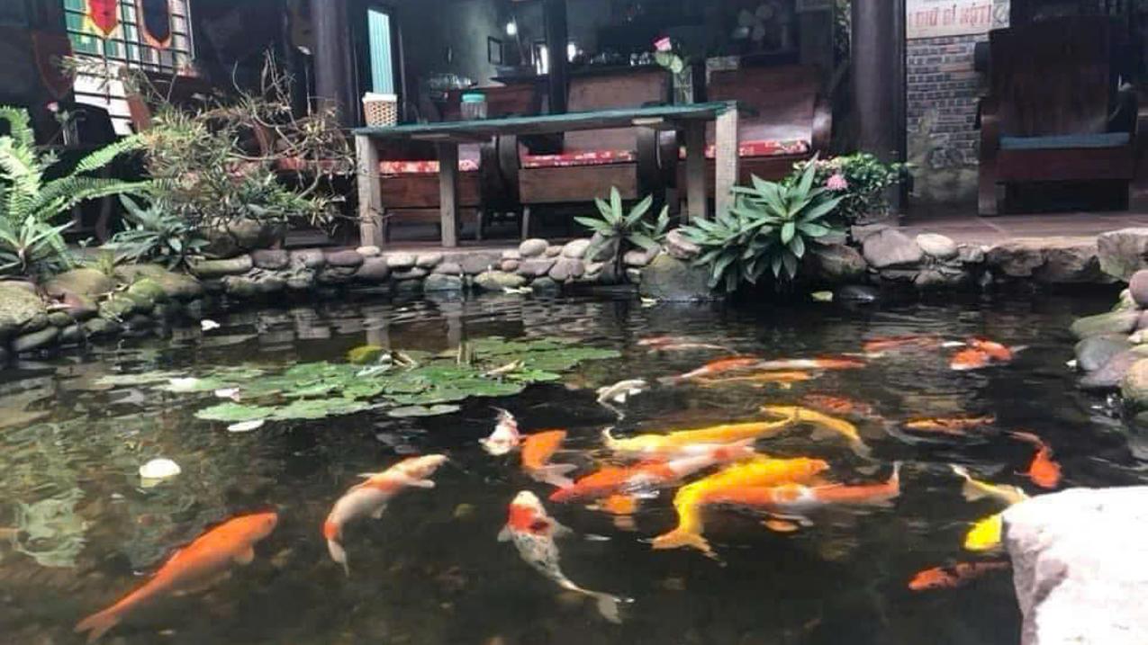CHÍNH CHỦ CHO THUÊ QUÁN CAFE TẠI PHƯỜNG HƯNG LỘC, TP VINH