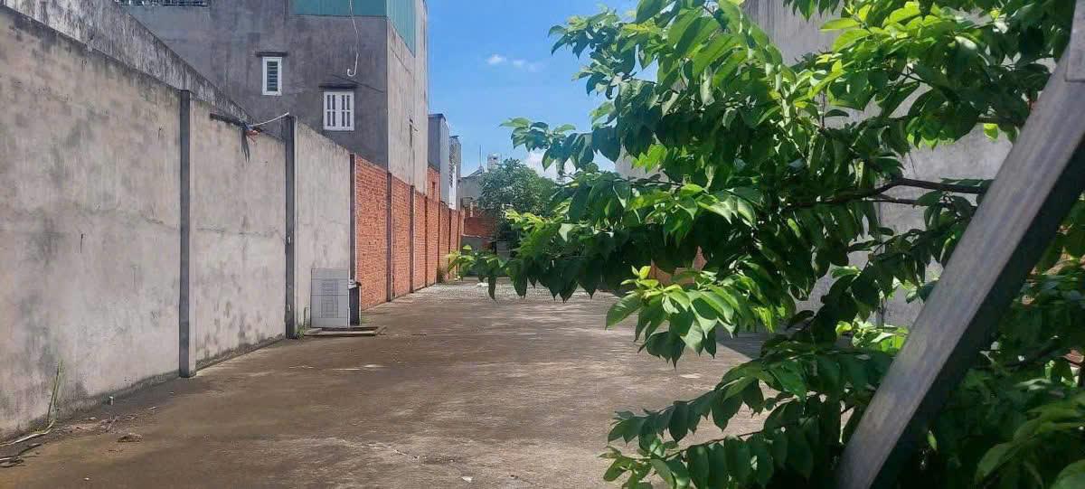 Bán đất mt Trung Mỹ, Tân Xuân, Hóc Môn, dt khủng 500M² chỉ 17 tỷ
