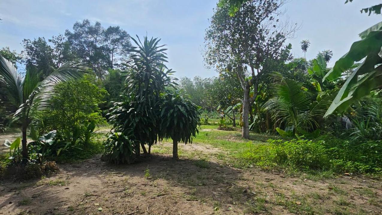 Đất thổ cư mt Thạnh Xuân 52, Q12, SHR, 1000m2 giá 50 tỷ