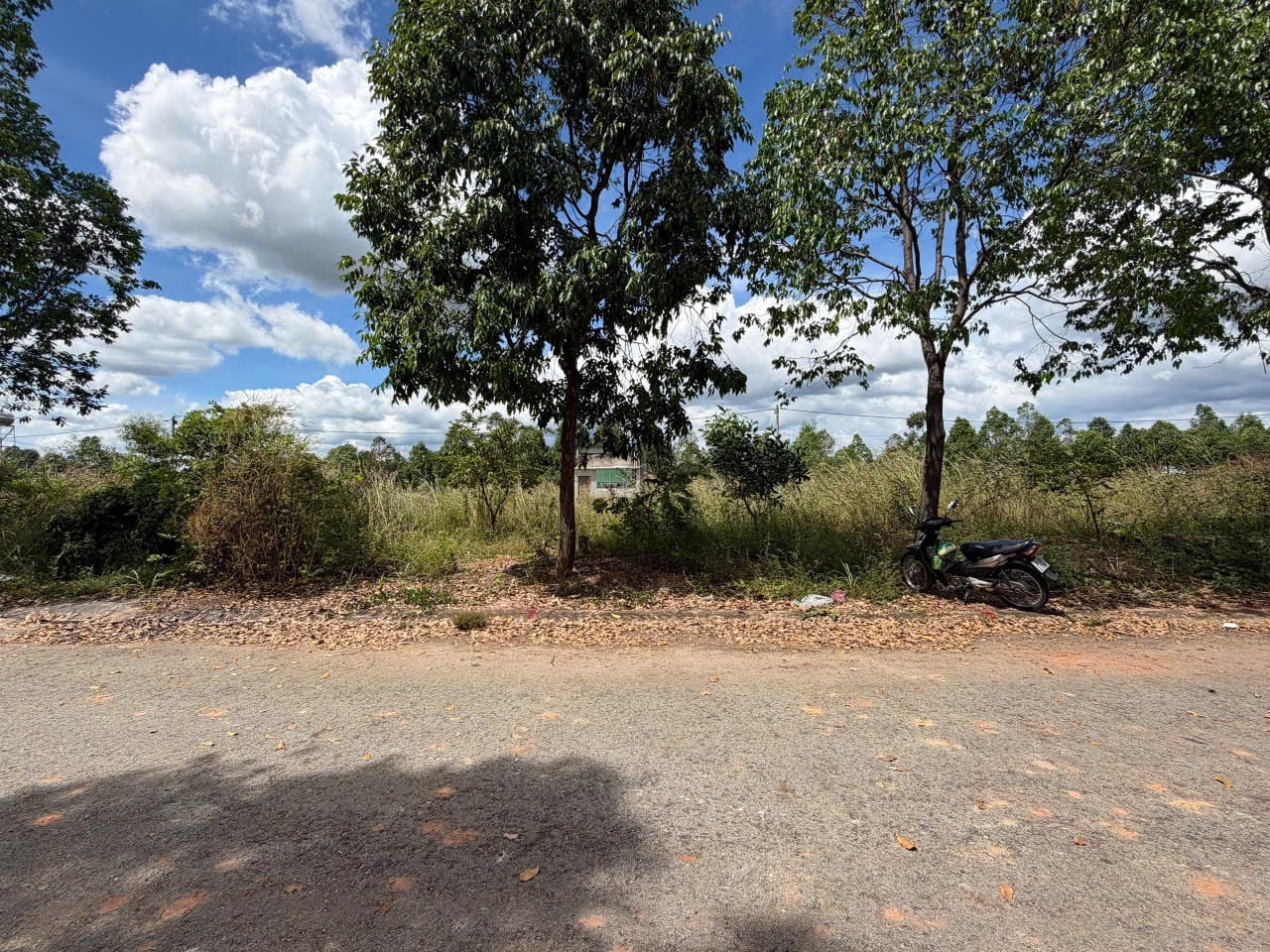 Bán đất Bình Dương, Phường Thới Hòa, kế bên ĐH Việt Đức,150m² ngang 5m, giá 1,45 tỷ