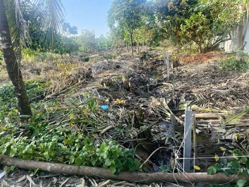 Bán đất Mỹ Khánh, Phong Điền, Cần Thơ, diện tích 1600m2, giá chỉ 3,8 tỷ