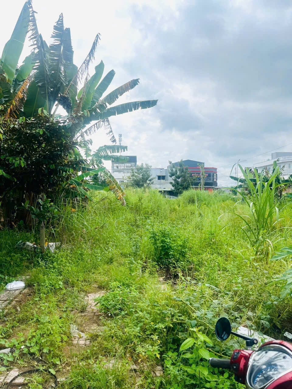 Bán đất nền đường số 2 KDC Chiến Thắng, 81m2 full thổ cư, giá hấp dẫn