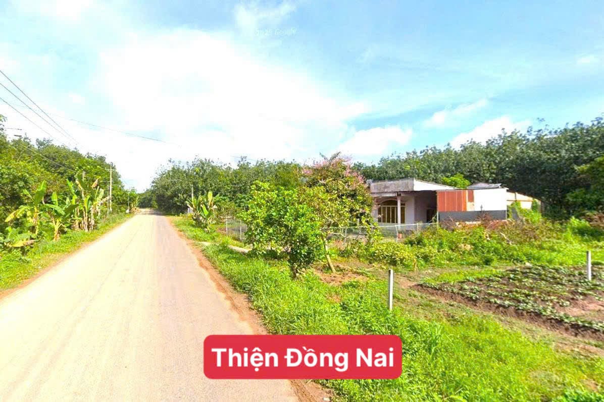 BÁN ĐẤT CÁT LINH, ĐỐNG ĐA, 2 SỔ 10X52M, CN 512M² FULL THỔ CƯ, SÁT TRƯỜNG CHỢ, GIÁ LỖ