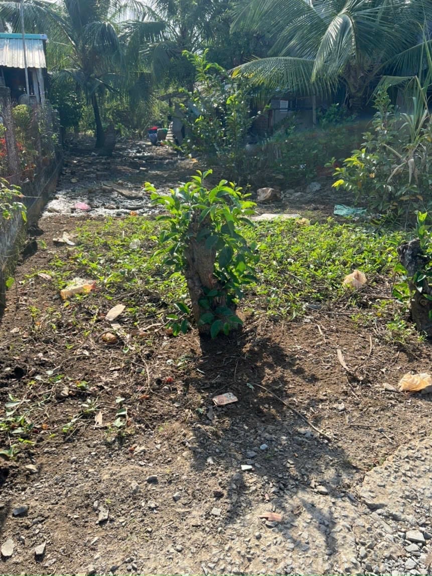 Bán đất vườn xã Tân Chánh, dt 325m2, mặt tiền xe máy, chỉ 340 triệu