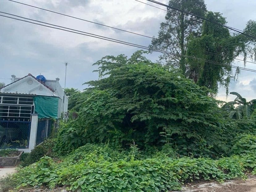 Bán đất Trương Vĩnh Nguyên, Phú Thứ, 1200m2 có 200m thổ cư, giá chỉ 3,2 tỷ