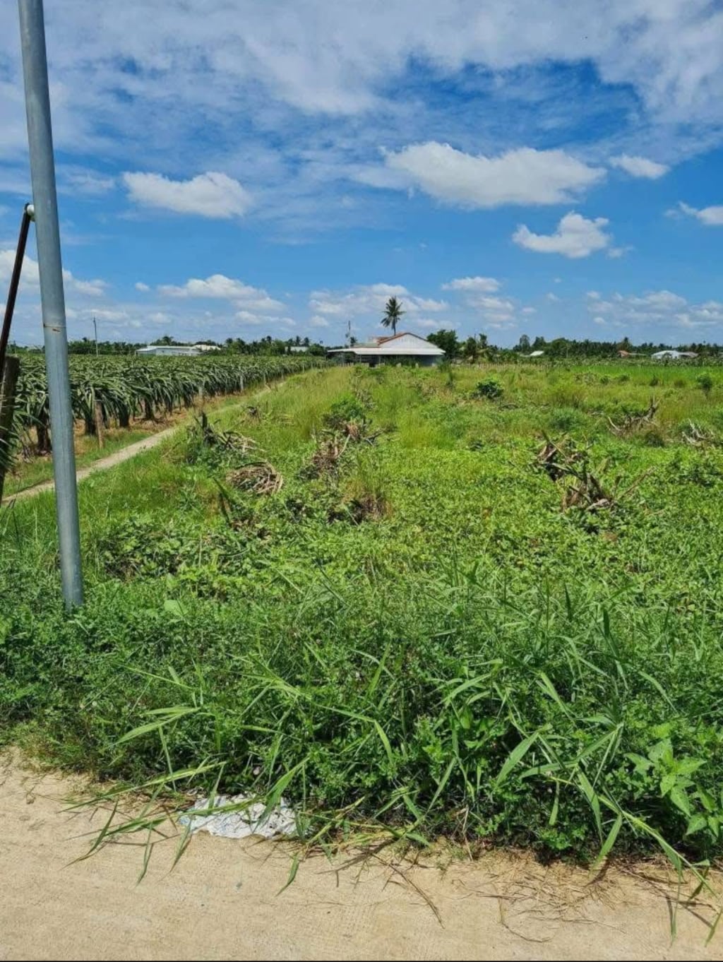 Bán đất Bến Lức, Long An, chủ cần tiền bán gấp, còn vài lô duy nhất