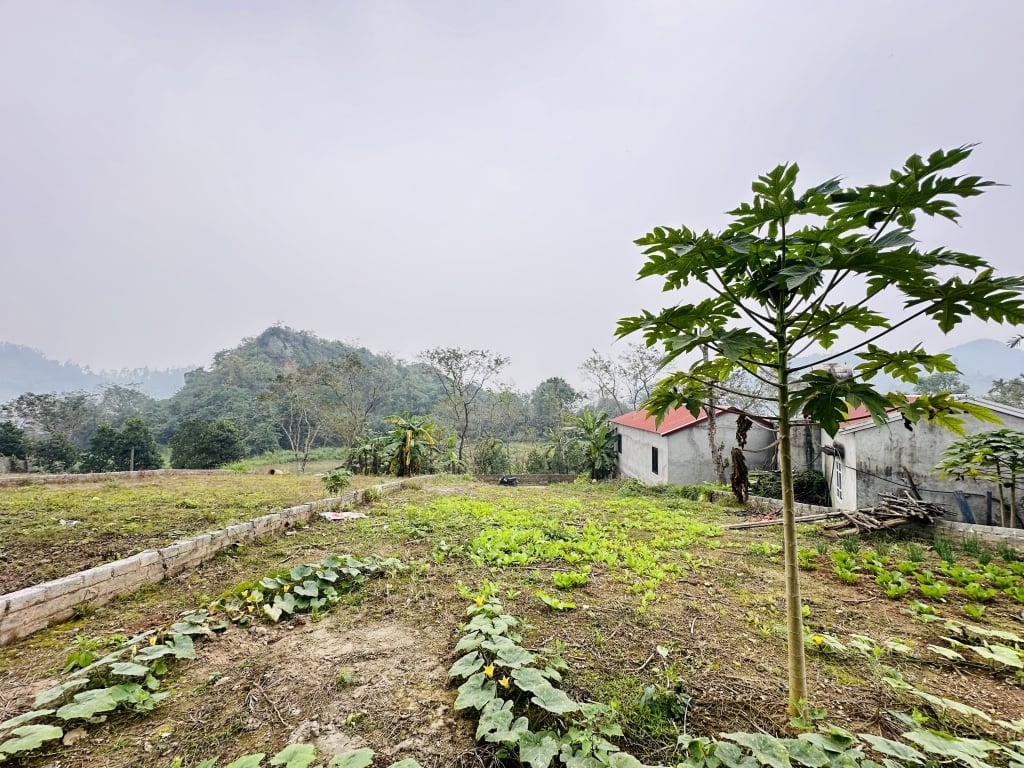 Bán gấp lô đất Lương Sơn, Hòa Bình, 450m2 sát quy hoạch đường VDD5, giá chỉ 1,8 tỷ