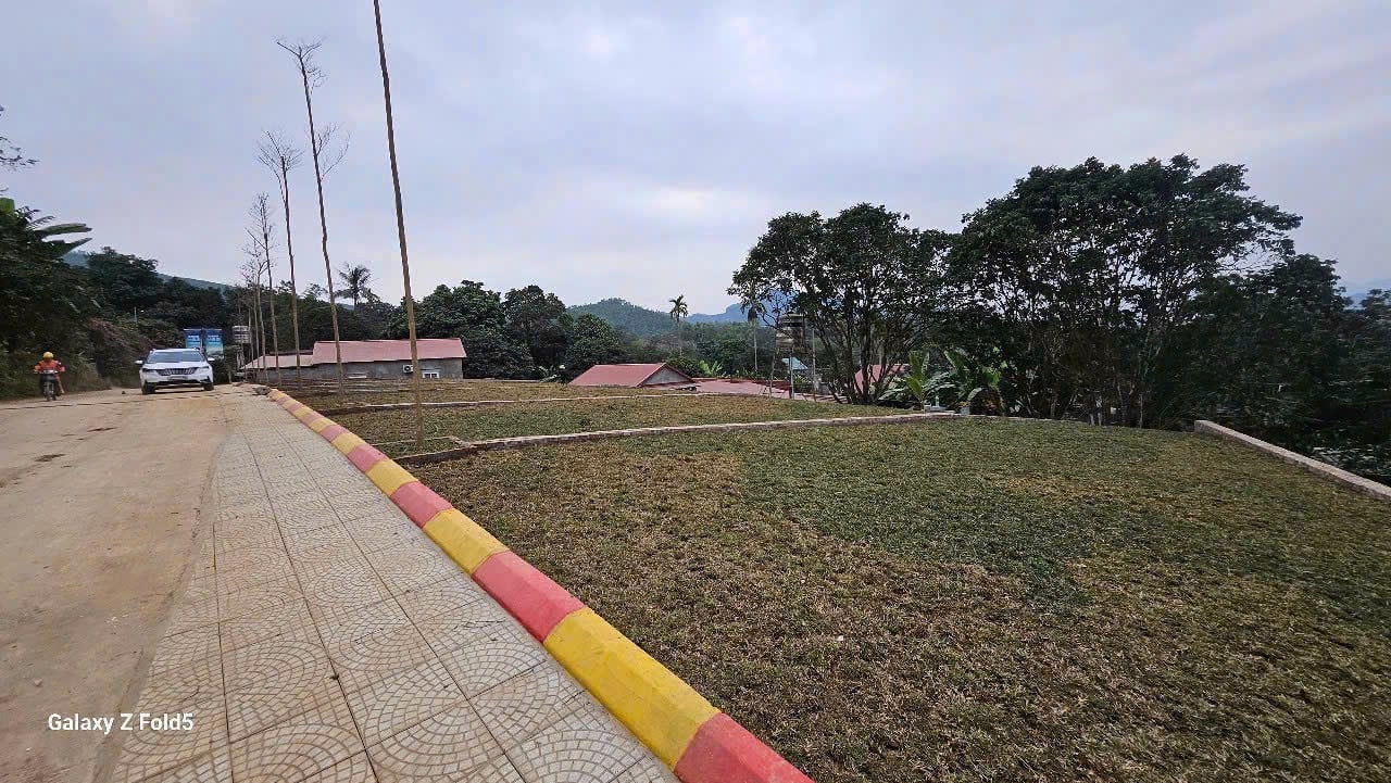 thuviennhadat.vn